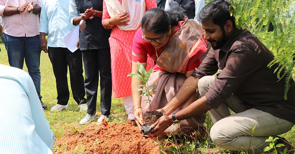 Environmental Sustainability